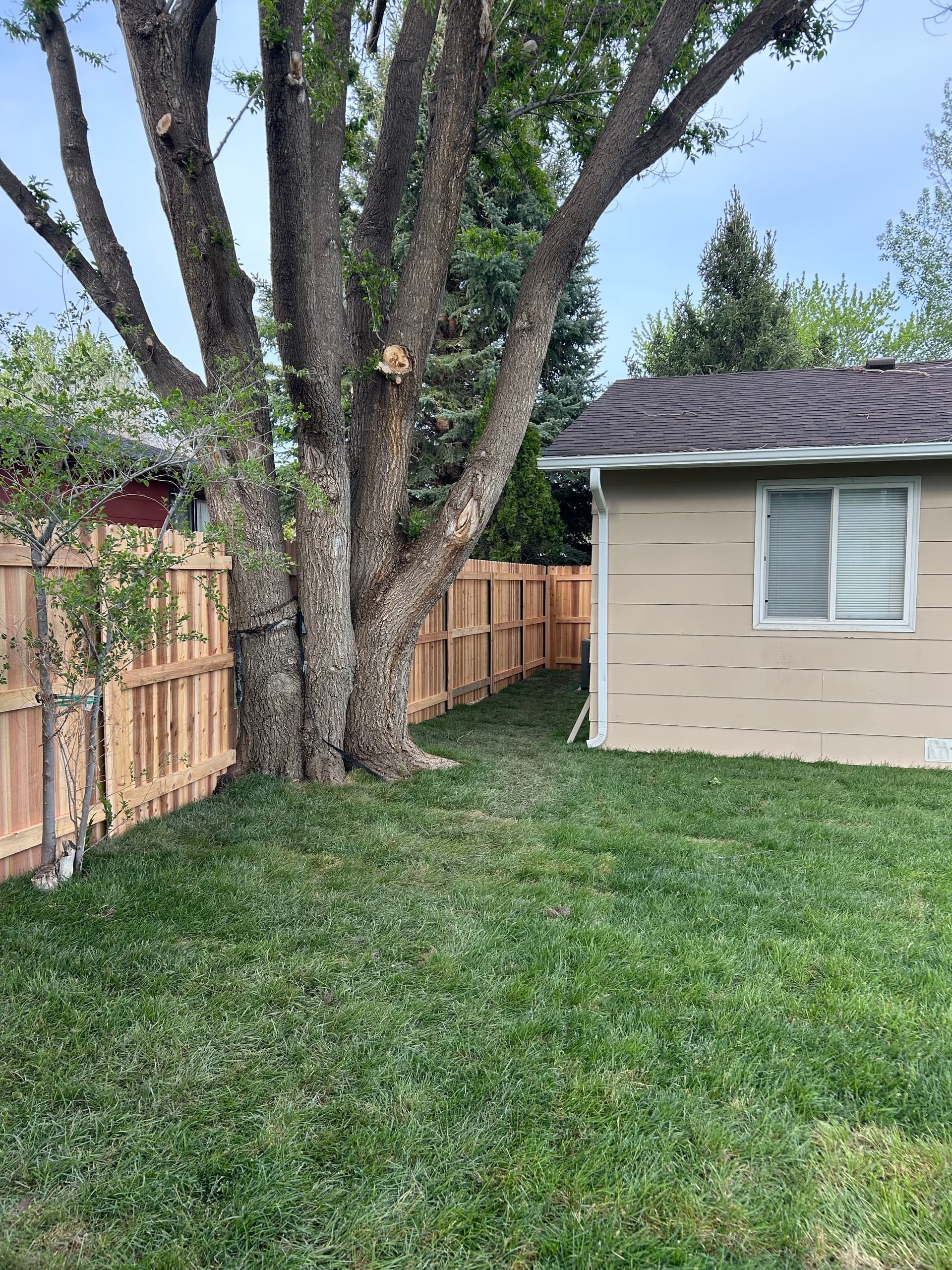 Gallery photos for Custom Wood Fence Built Around Mature Trees With a Clean Finish: Image #1