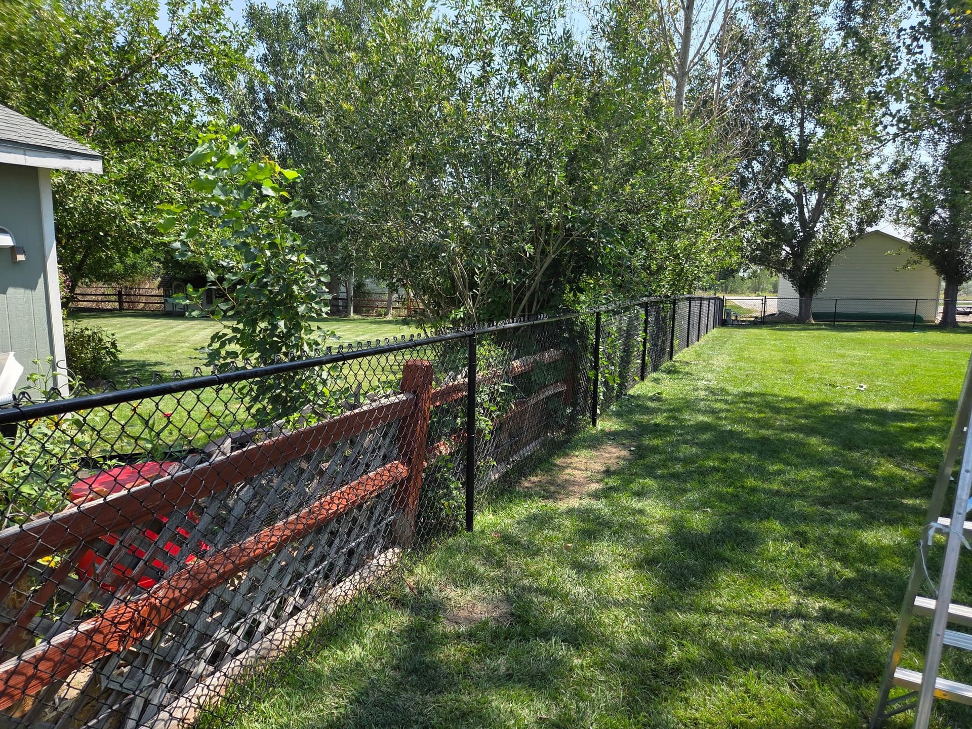Gallery photos for Black Chain Link Fence Installed for a Pet-Safe Backyard: Image #1