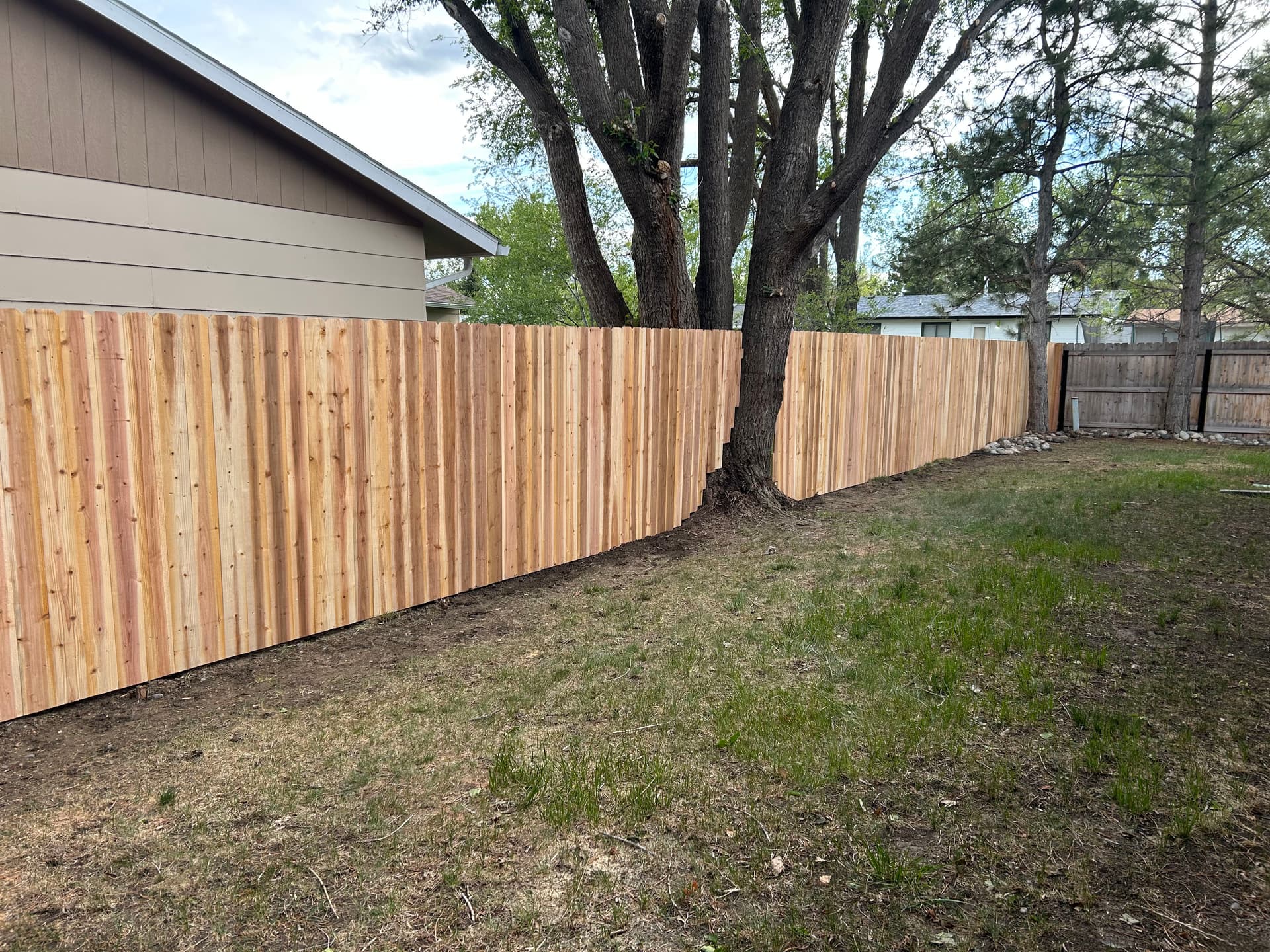 Gallery photos for Custom Wood Fence Built Around Mature Trees With a Clean Finish: Image #2