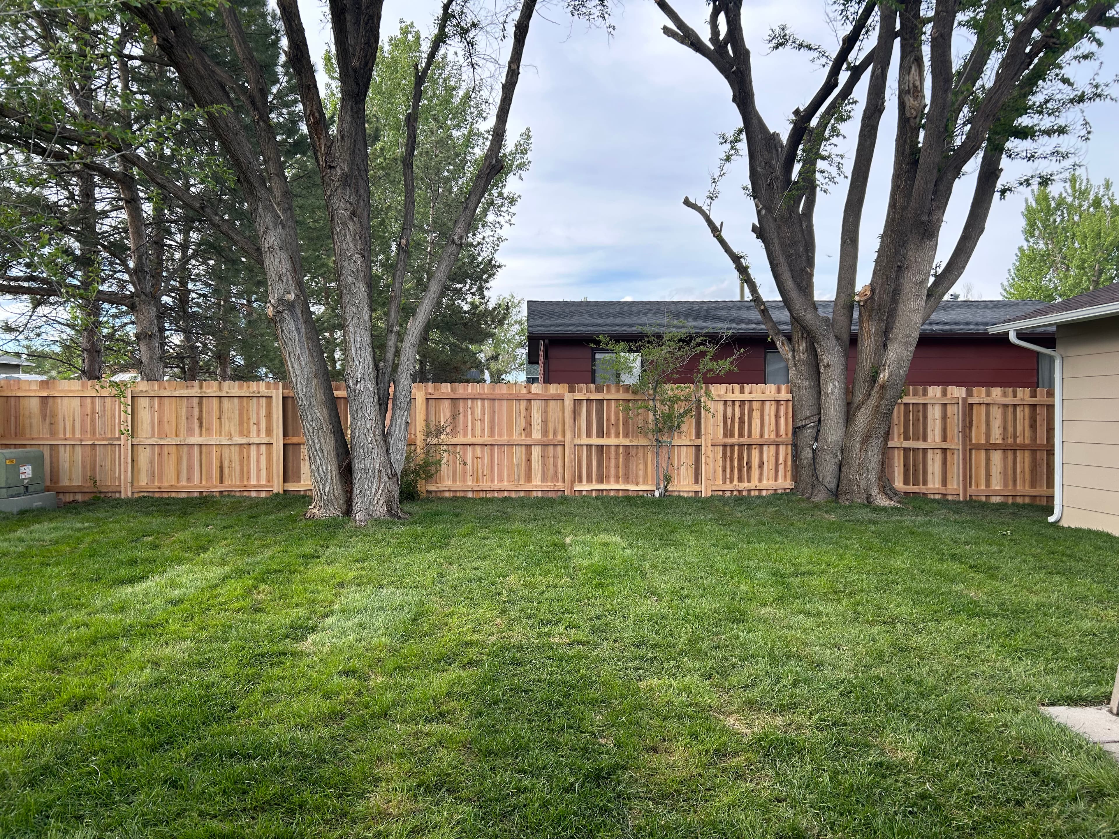 Project Custom Wood Fence Built Around Mature Trees With a Clean Finish image