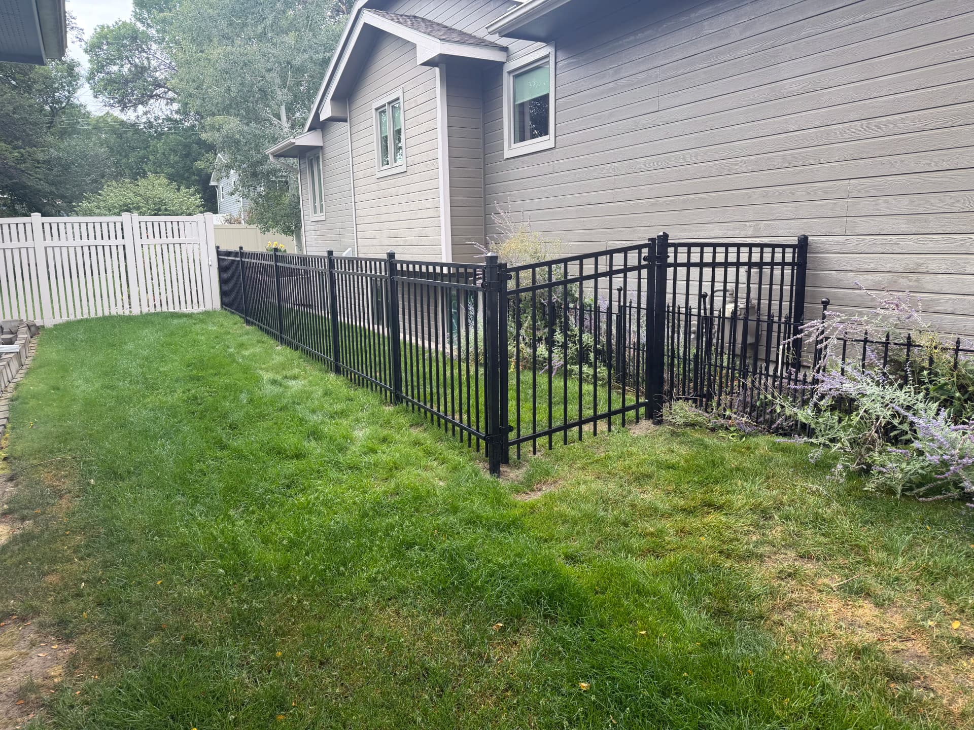 Gallery photos for Ornamental Fence and Gate Install That Keeps Dogs Safe: Image #1