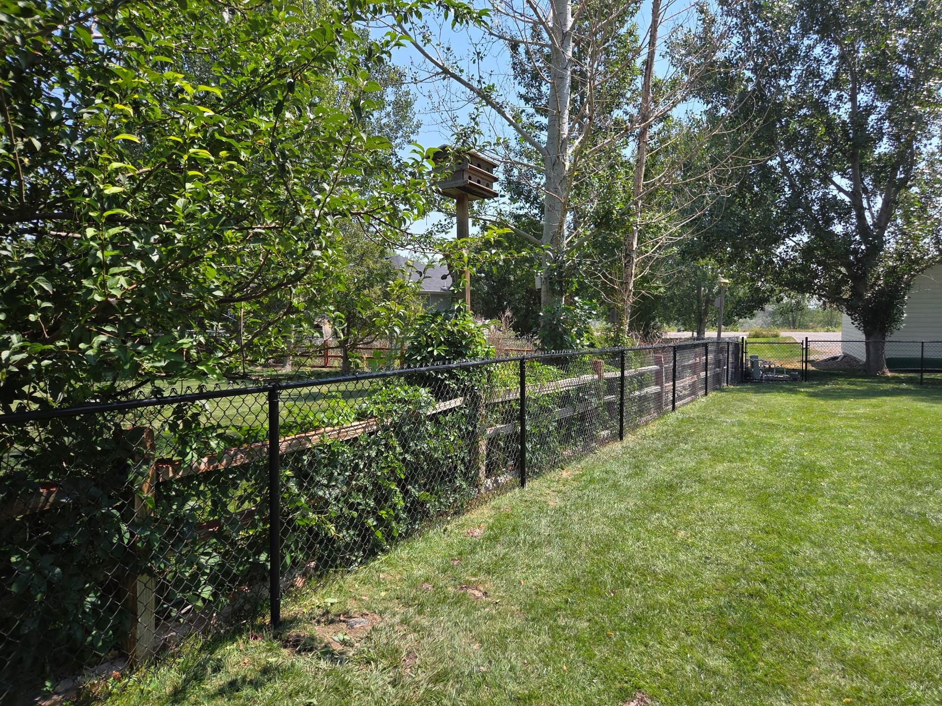 Black Chain Link Fence Installed for a Pet-Safe Backyard image