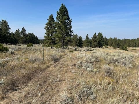 Project Robust Barbed Wire Fencing in Joliet's Stunning Landscape image