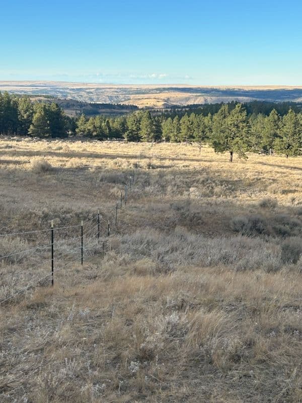 Gallery photos for Robust Barbed Wire Fencing in Joliet's Stunning Landscape: Image #2