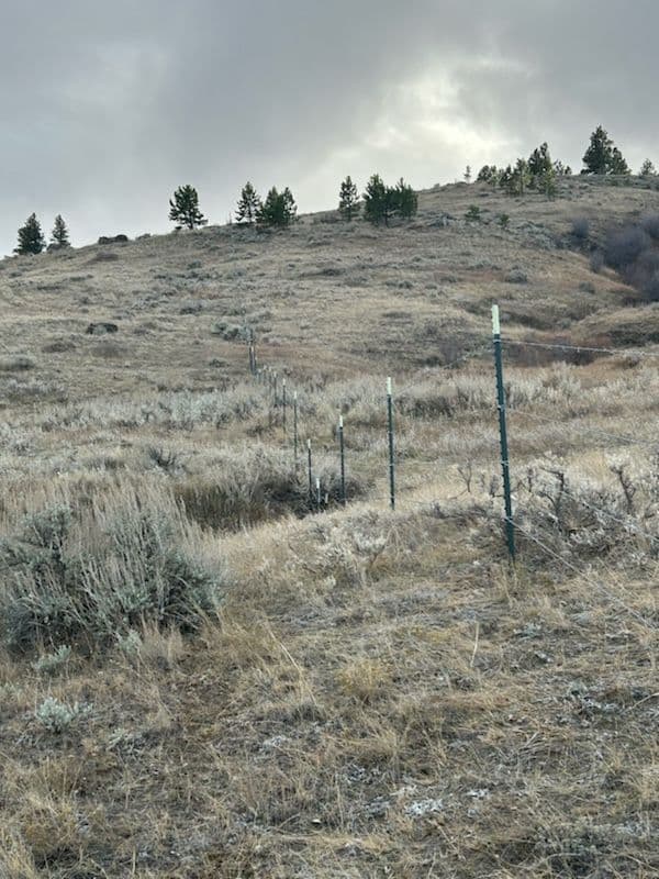 Gallery photos for Robust Barbed Wire Fencing in Joliet's Stunning Landscape: Image #3