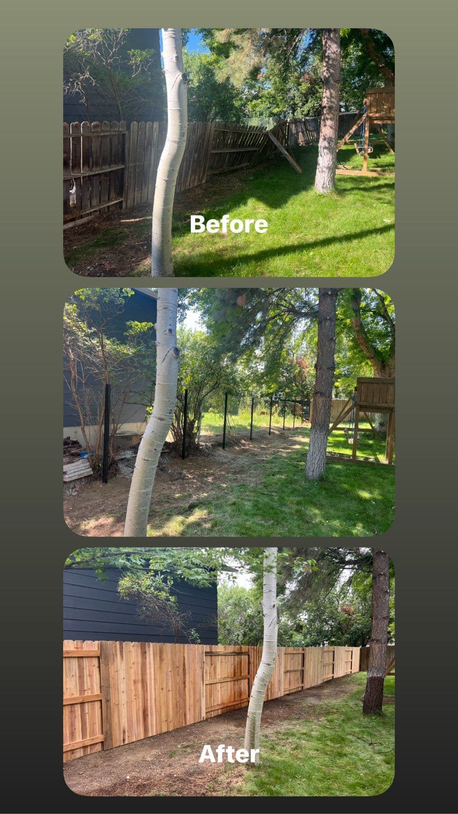 Stunning Cedar Privacy Fence Transforms Backyard image