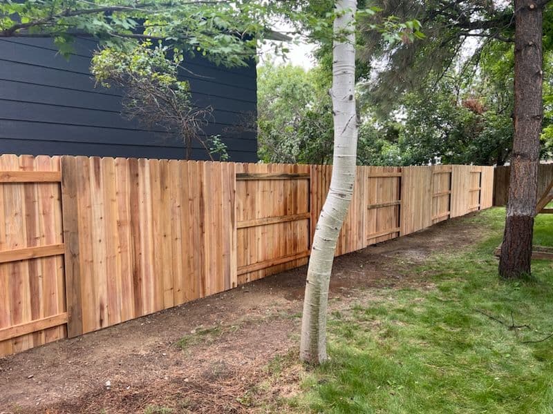 Gallery photos for Stunning Cedar Privacy Fence Transforms Backyard: Image #1