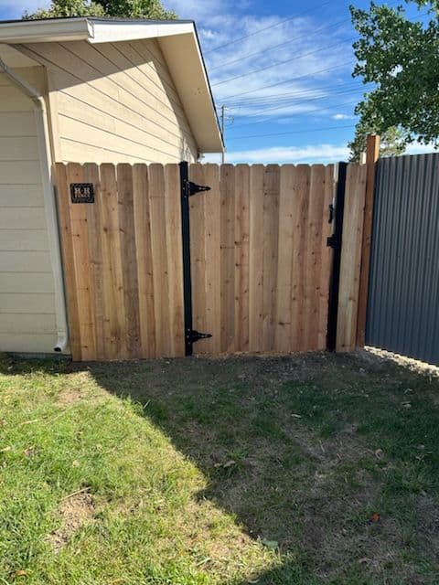 Gallery photos for Beautiful Cedar Privacy Fence Transformation: Image #2