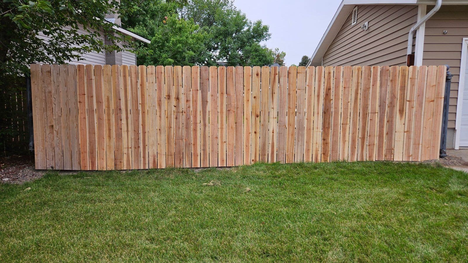 Gallery photos for Stunning Cedar Fence Transformation: Image #3