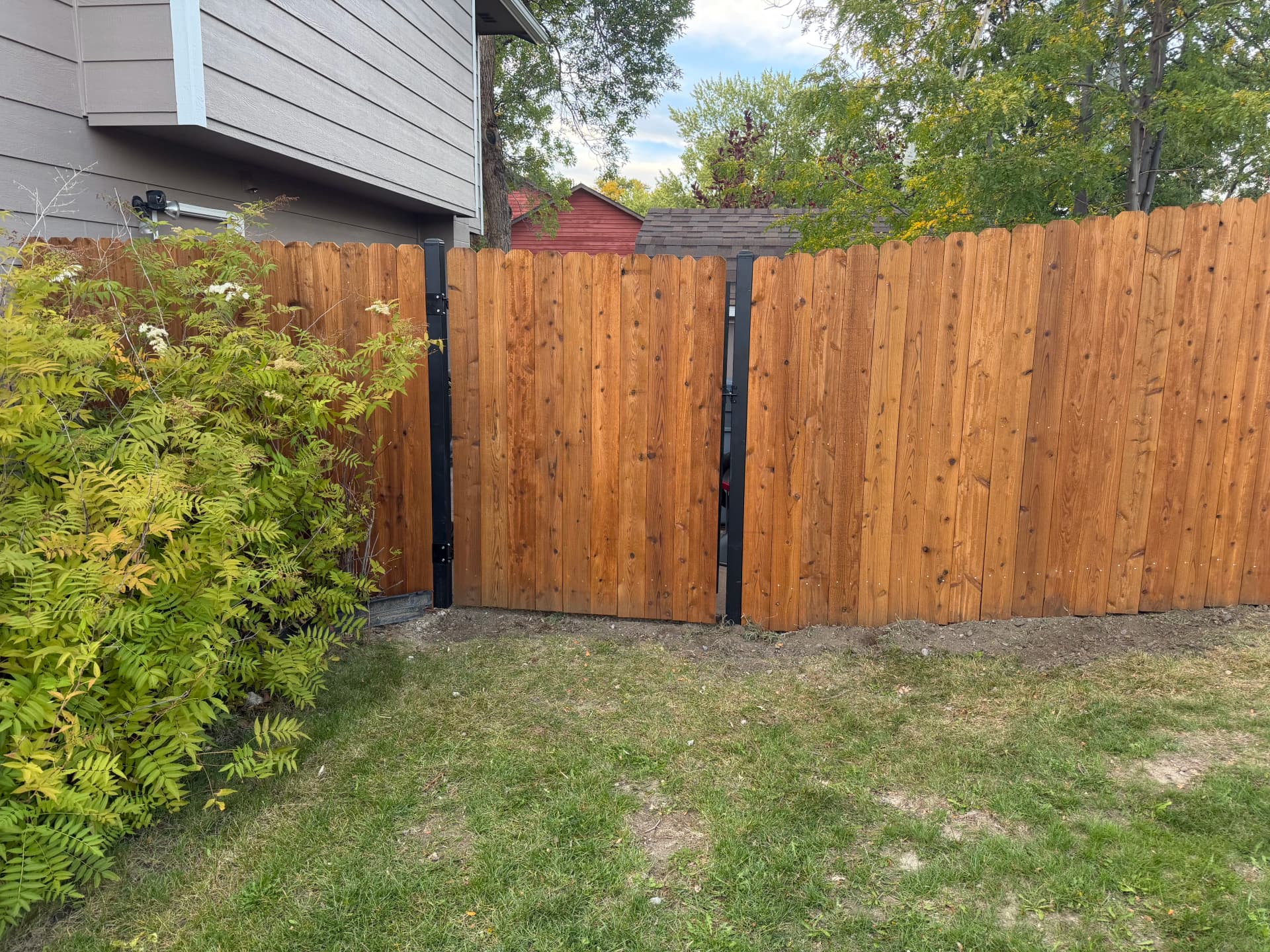 New Cedar Fence Install Finished in Premium Pecan Stain image