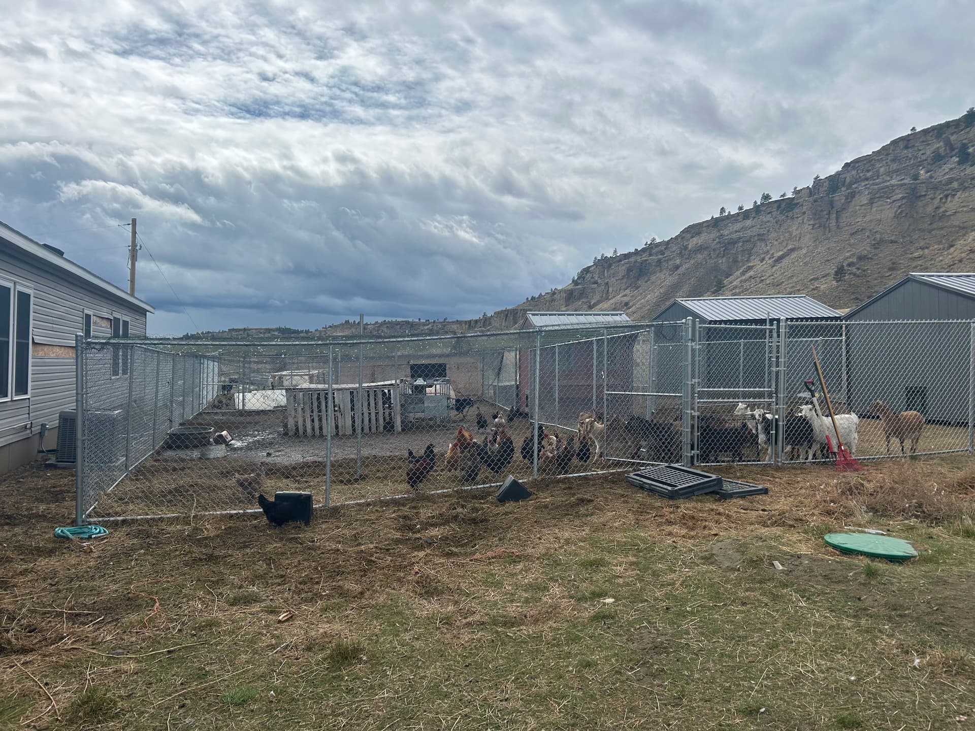 Gallery photos for Chain Link Kennels and Farm Fencing for Goats, Chickens, and Dogs: Image #2