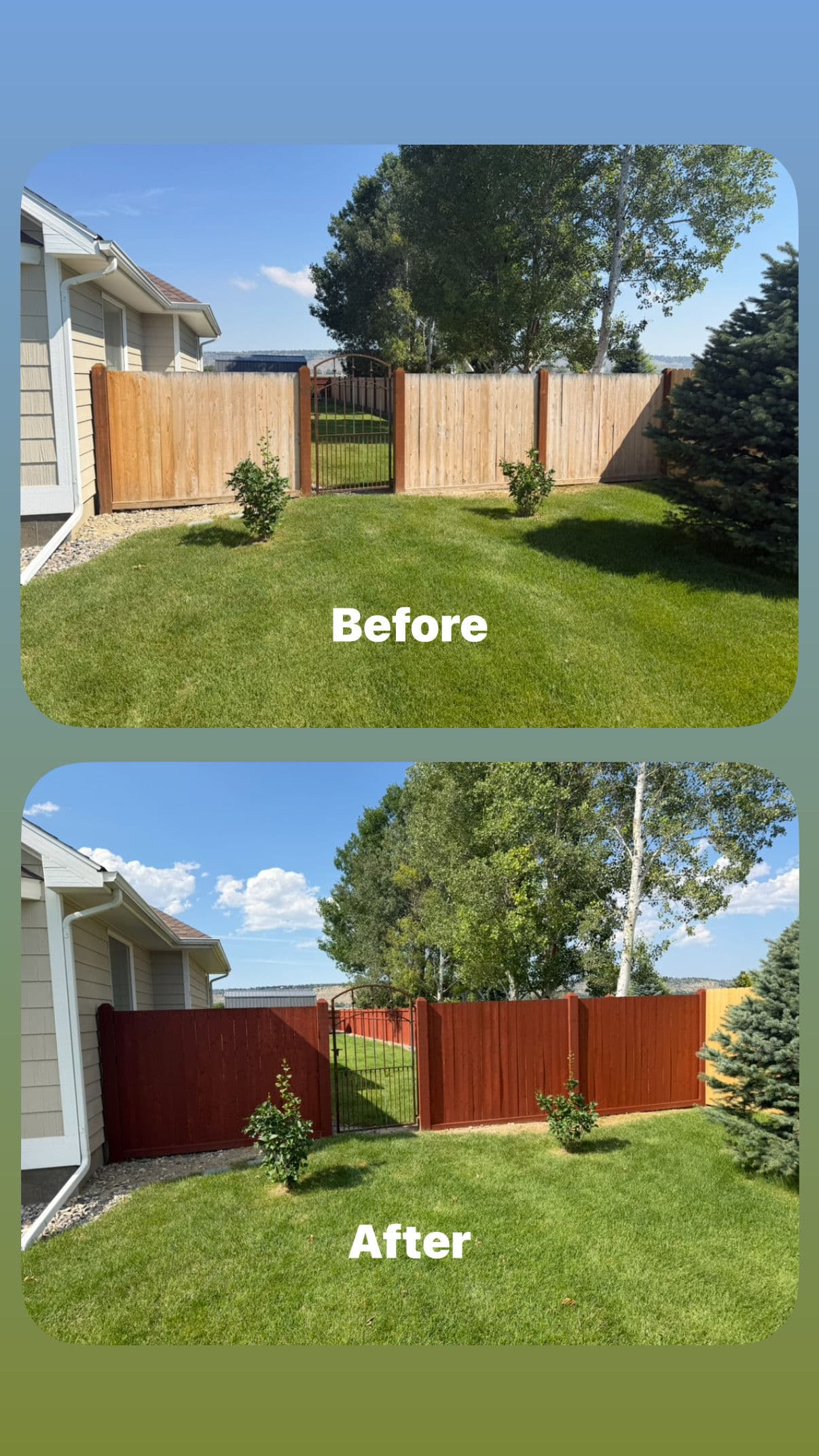 Project Fresh Stain Brings a Wood Fence Back to Life image