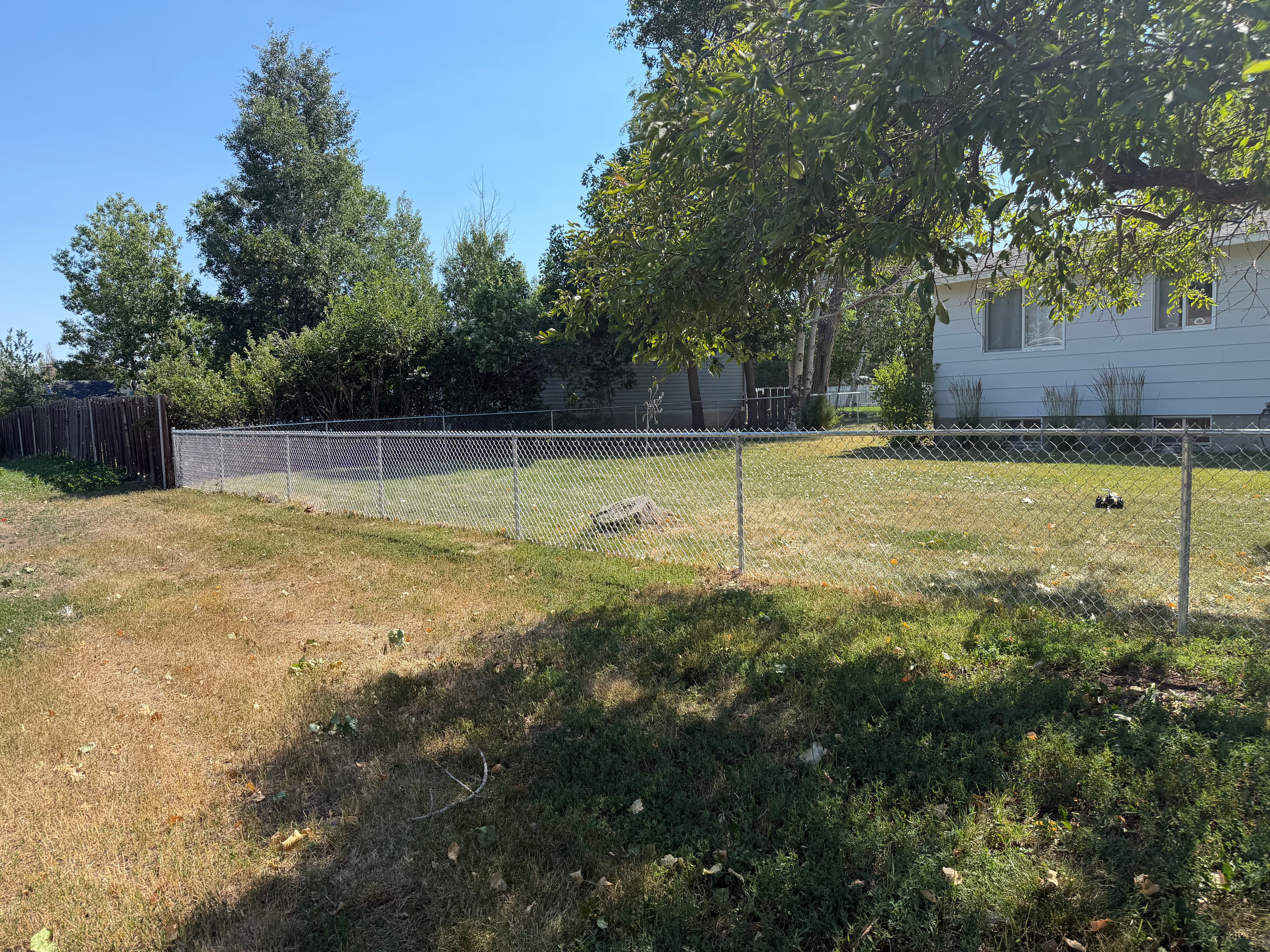 Project Chain Link Fence Replacement That Actually Changed the Whole Property image